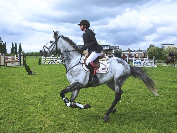 Quel est le meilleur cadeau pour un passionné d'équitation ?